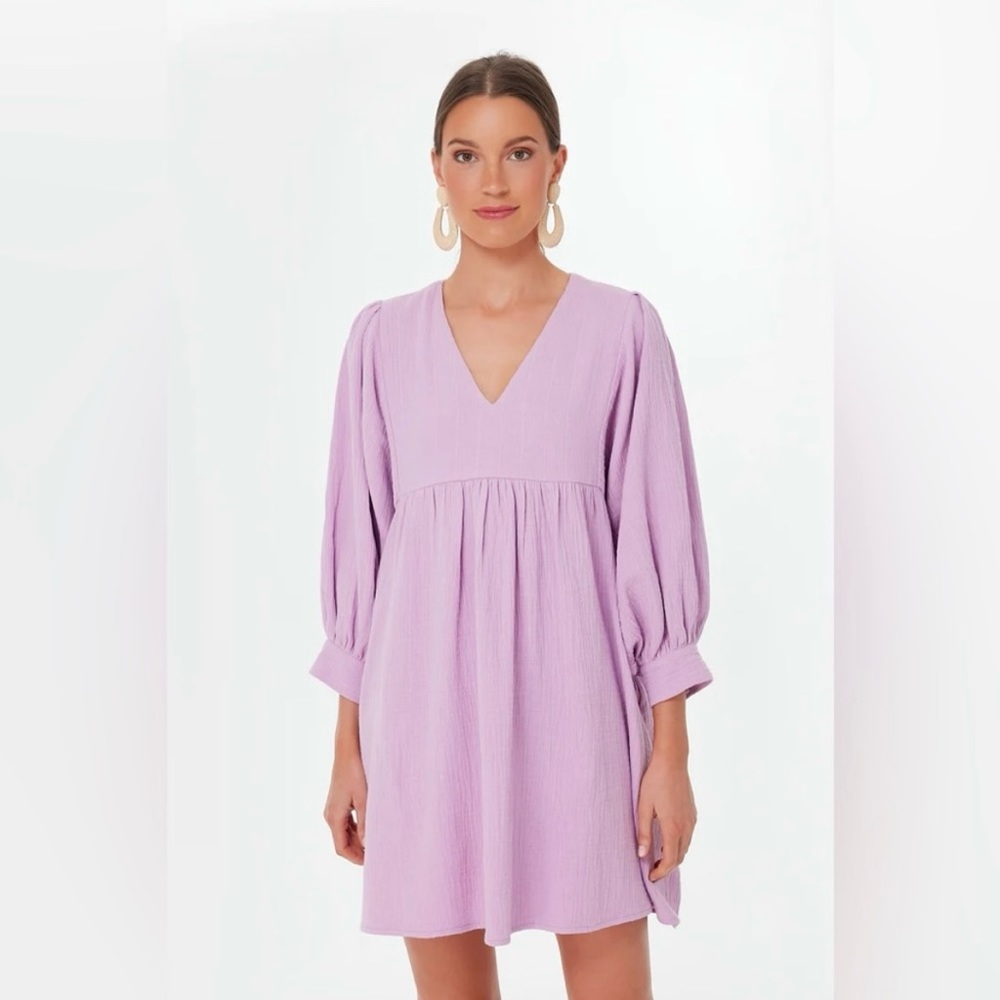 Tuckernuck Pomander Place Millie Lavender Gauze Mini Dress (size S)